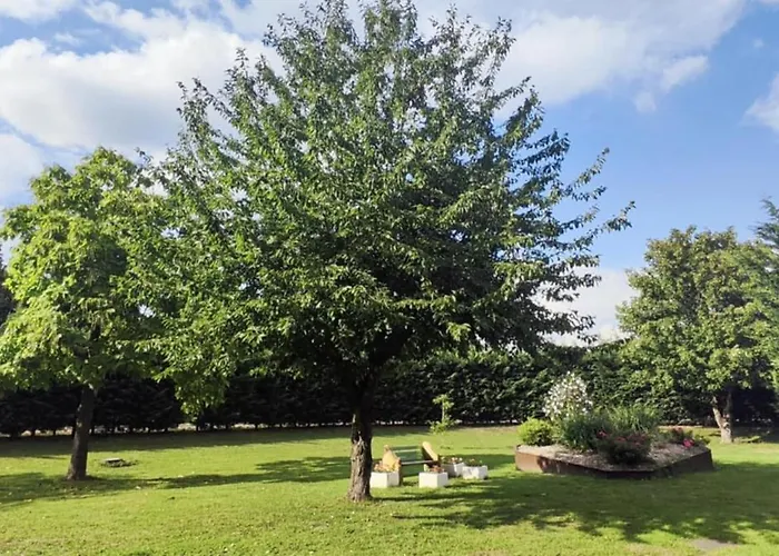 Le Francothai Metz 公寓 *